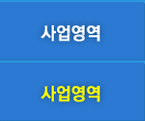 사업영역
